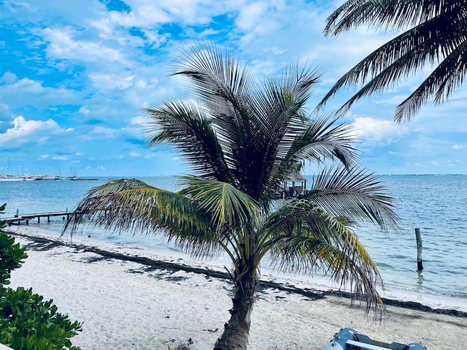 Punta Me Apartments With Nice Sea View & Beach Cancún Exteriör bild